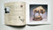 Cowboy Artists of America: 1997 Exhibition