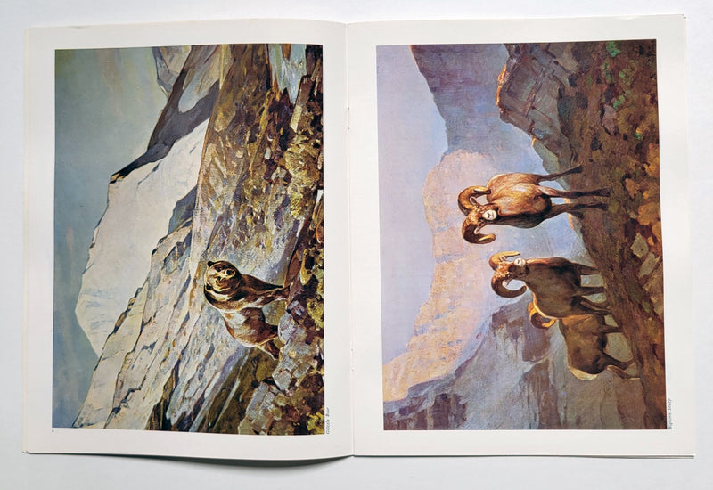 Carl Rungius: An Artist's View of Nature