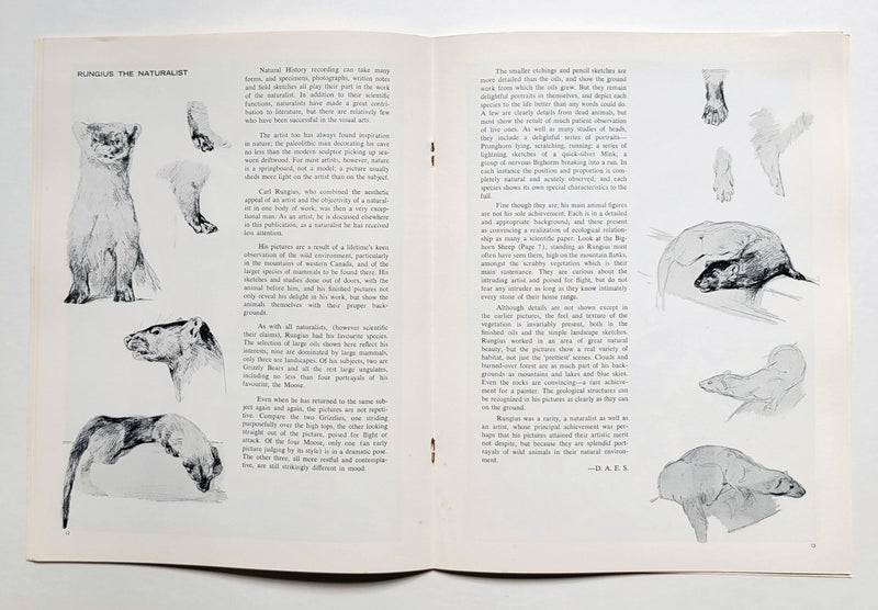Carl Rungius: An Artist's View of Nature