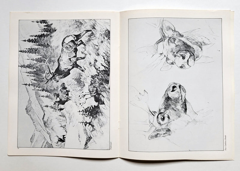 Carl Rungius: An Artist's View of Nature