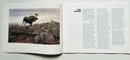 Majesty and Wilderness: Works By Carl Rungius