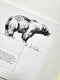 The Animal Art of Bob Kuhn: Softcover, First Edition, Signed
