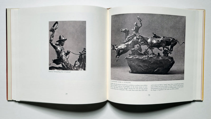 From Broncs to Bronzes