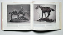 From Broncs to Bronzes