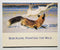 Bob Kuhn: Painting the Wild