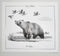 Wild Harvest- Fist Edition, Signed w/ print