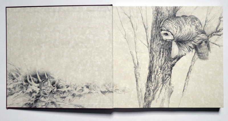Michael Sieve An Artist's Life