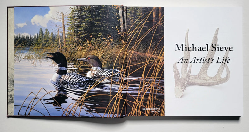 Michael Sieve An Artist's Life