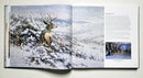 Michael Sieve An Artist's Life