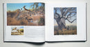 Michael Sieve An Artist's Life
