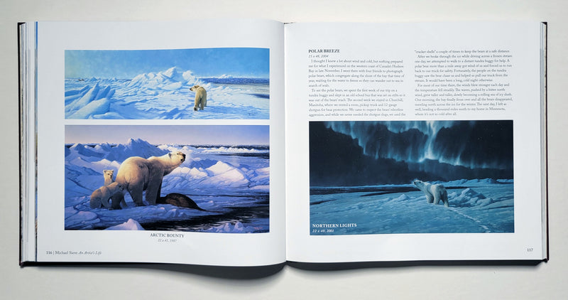 Michael Sieve An Artist's Life
