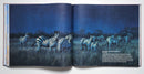 Michael Sieve An Artist's Life