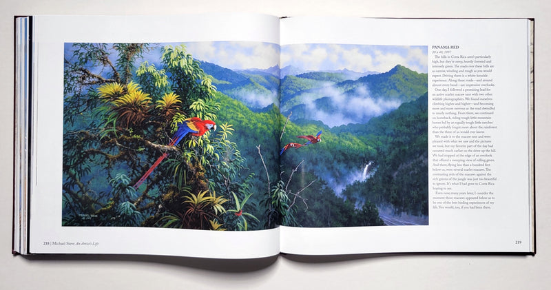 Michael Sieve An Artist's Life