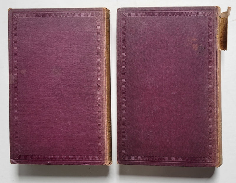 Livingstone’s Last Journals