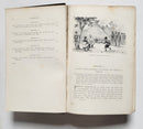 Travels in Africa During the Years 1882-1886