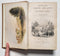 Missionary Labours and Scenes in Southern Africa
