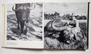 Great Game Animals of the World