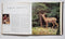 Great Game Animals of the World