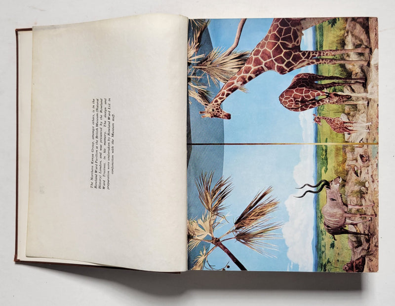 Rowland Ward’s Records of Big Game (Africa)