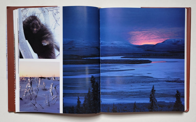 A Thousand Trails Home: Living with Caribou