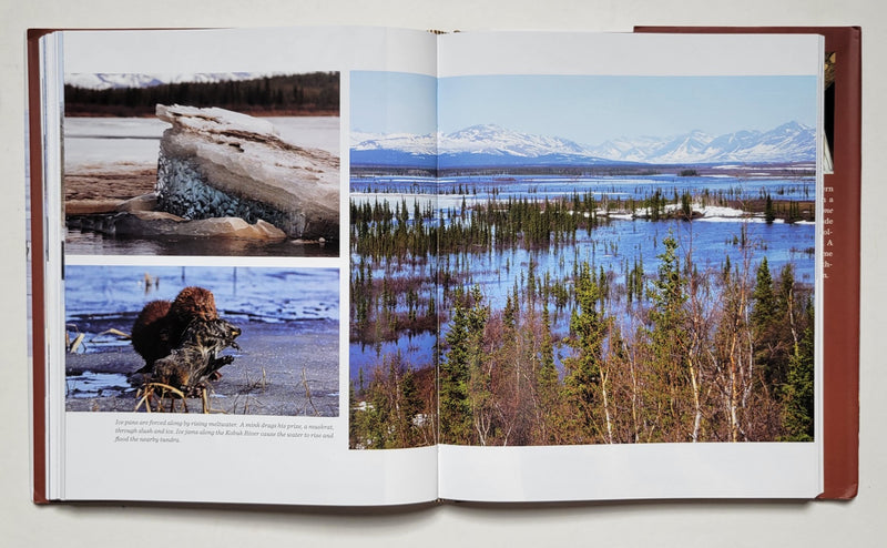 A Thousand Trails Home: Living with Caribou