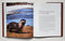 A Thousand Trails Home: Living with Caribou
