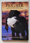 Panther: And Other Stories of Great Hunting Retrievers
