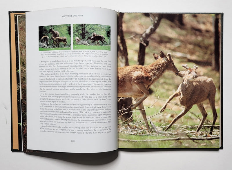 Whitetail Country: The Photographic Life History of Whitetail Deer