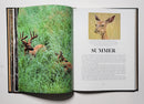 Whitetail Country: The Photographic Life History of Whitetail Deer