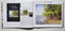 Arthur Shilstone: A Lifetime of Drawing & Painting