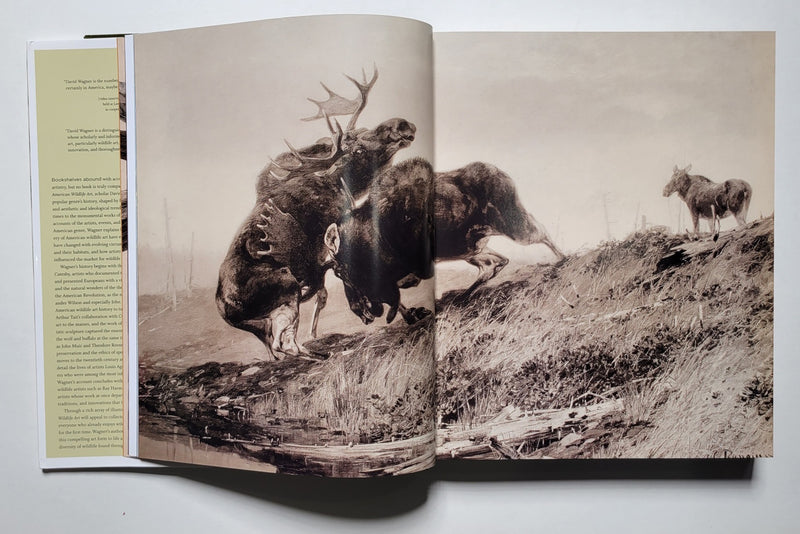 American Wildlife Art