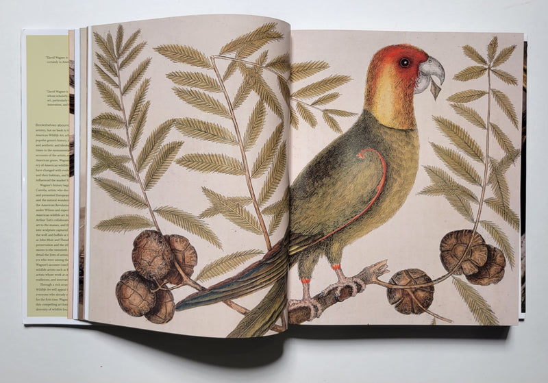 American Wildlife Art