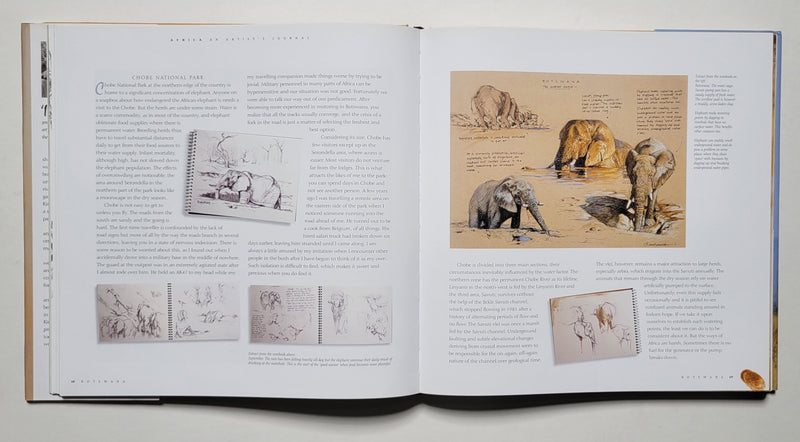 Africa: An Artist's Journal