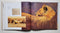 Africa: An Artist's Journal