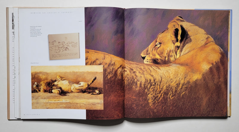 Africa: An Artist's Journal