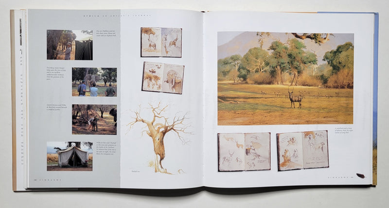 Africa: An Artist's Journal