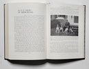National Field Trial Champions (Pointing Dog Classics)