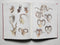 Rowland Ward's Records of Big Game XX Edition Africa and Asia