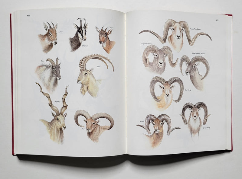 Rowland Ward's Records of Big Game XX Edition Africa and Asia