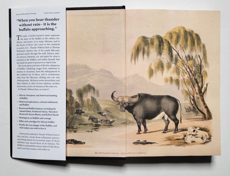 Thunder Without Rain: A Memoir with Dangerous Game, God's Cattle, The African Buffalo