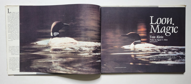 Loon Magic