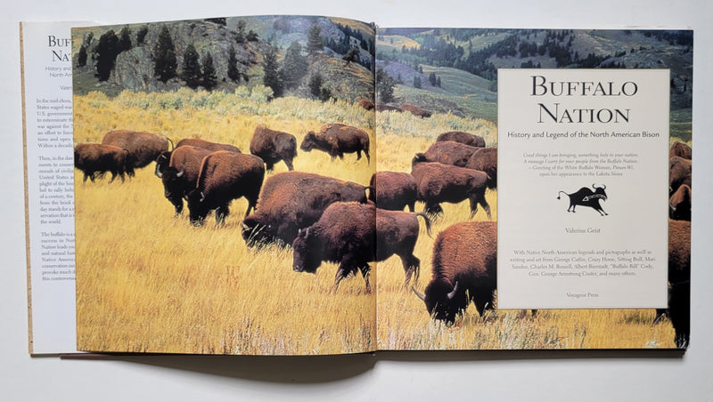 Buffalo Nation: History and Legend of the North American Bison