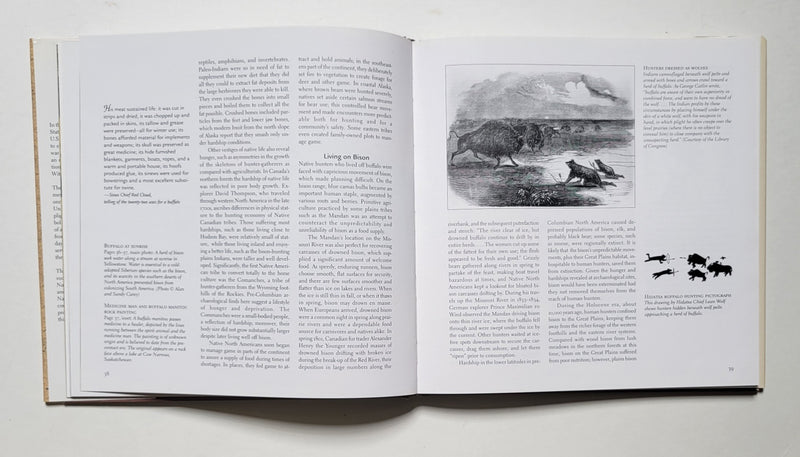 Buffalo Nation: History and Legend of the North American Bison