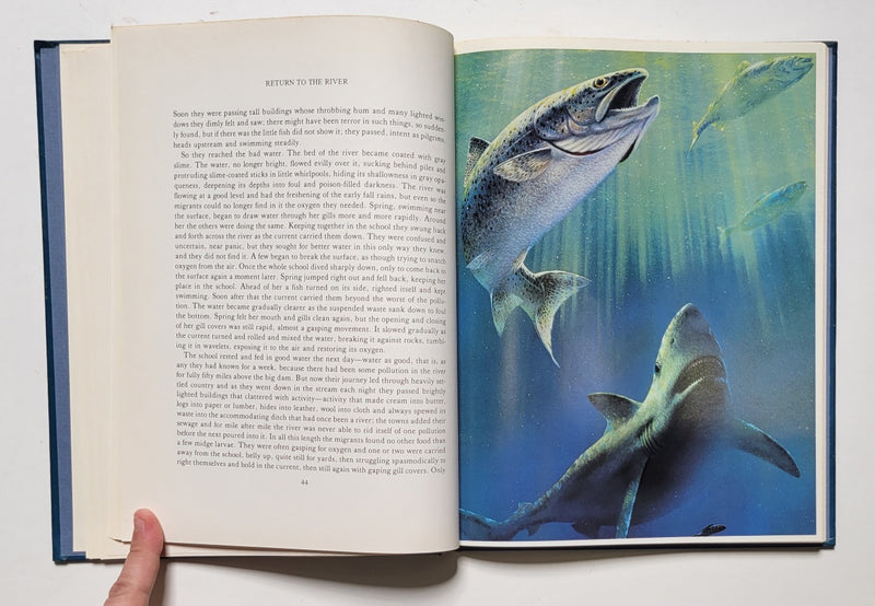 Return to the River: A Story of the Chinook Run