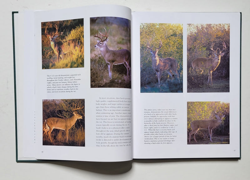 Observing and Evaluating Whitetails