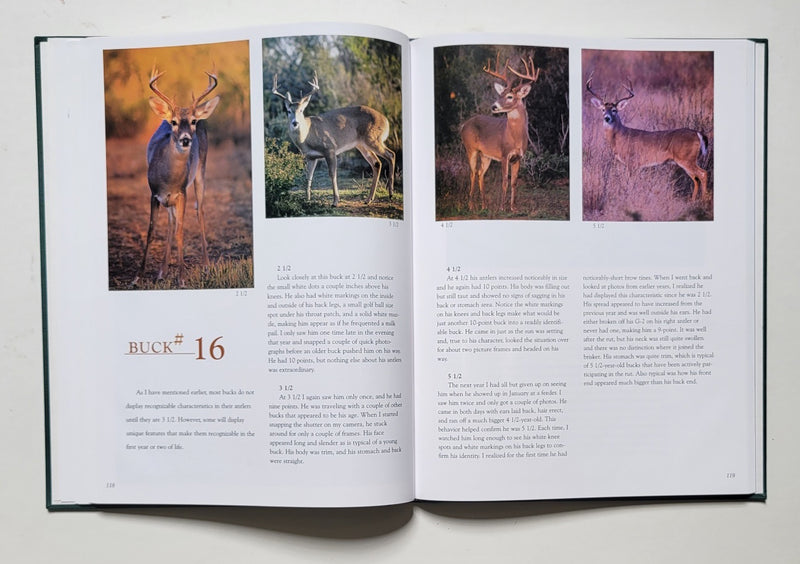 Observing and Evaluating Whitetails