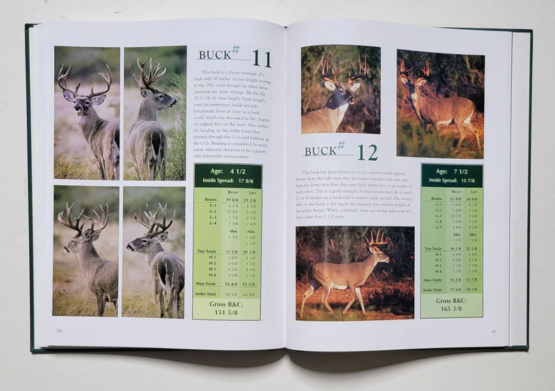 Observing and Evaluating Whitetails