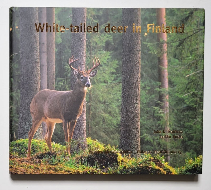 White-Tailed Deer in Finland