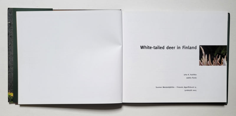 White-Tailed Deer in Finland