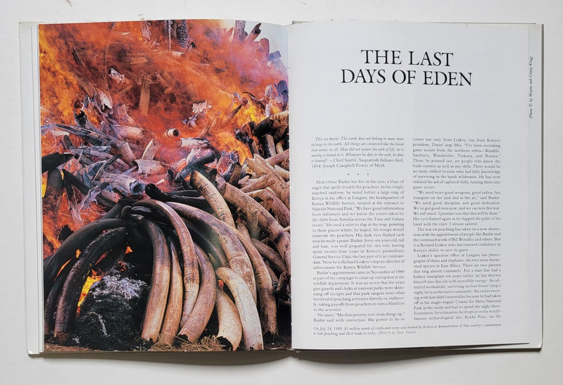 The African Elephant: The Last Days of Eden